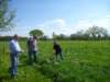 2013 HWK017_small.jpg